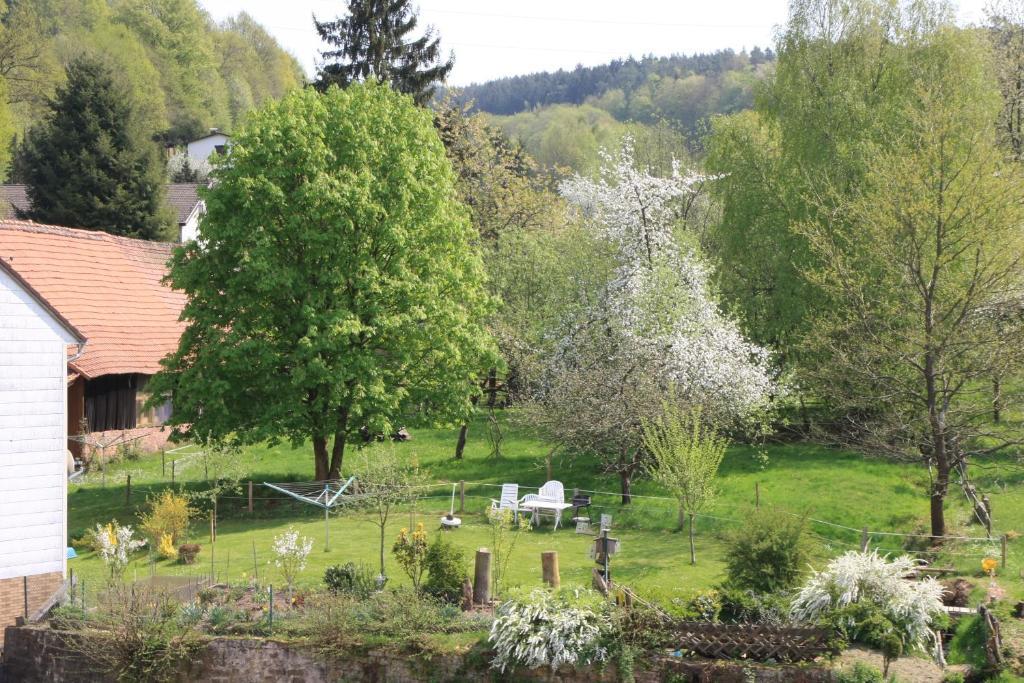 Gasthof Zur Traube Finkenbach Room photo